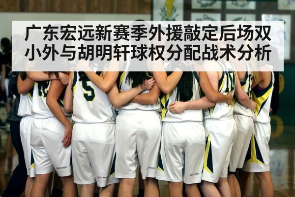 广东宏远新赛季外援敲定后场双小外与胡明轩球权分配战术分析 - hth